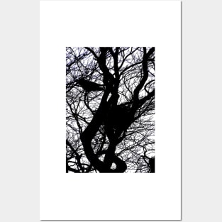 CROWS NEST SILHOUETTE Posters and Art